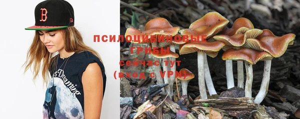 дистиллят марихуана Приозерск