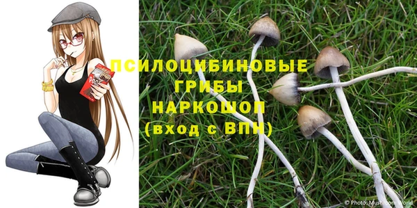 спиды Абинск