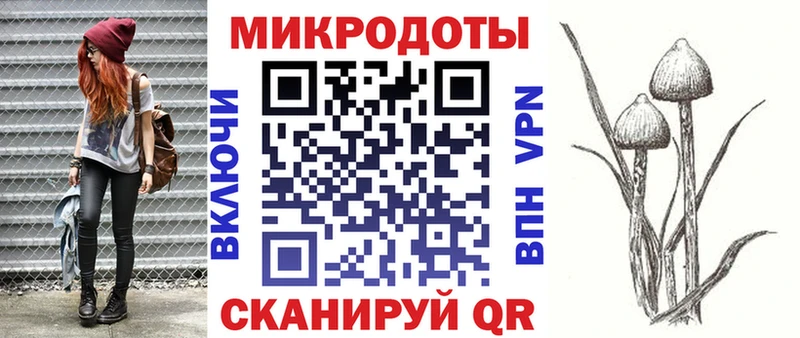 Псилоцибиновые грибы Cubensis наркота Суоярви